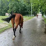 U Agaty Czernichów Kraków Zator Czernichow (Krakow)