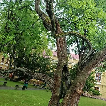 U Agaty Czernichów Kraków Zator