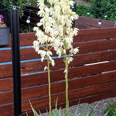 U Agaty Czernichów Kraków Zator